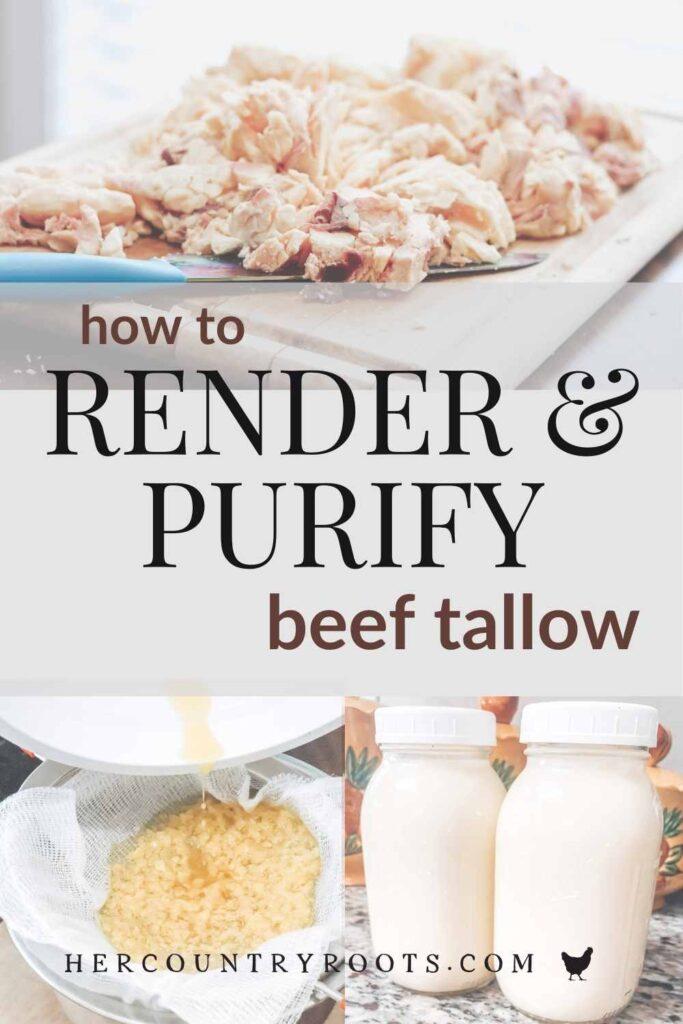 how to render and purify tallow pinterest pin